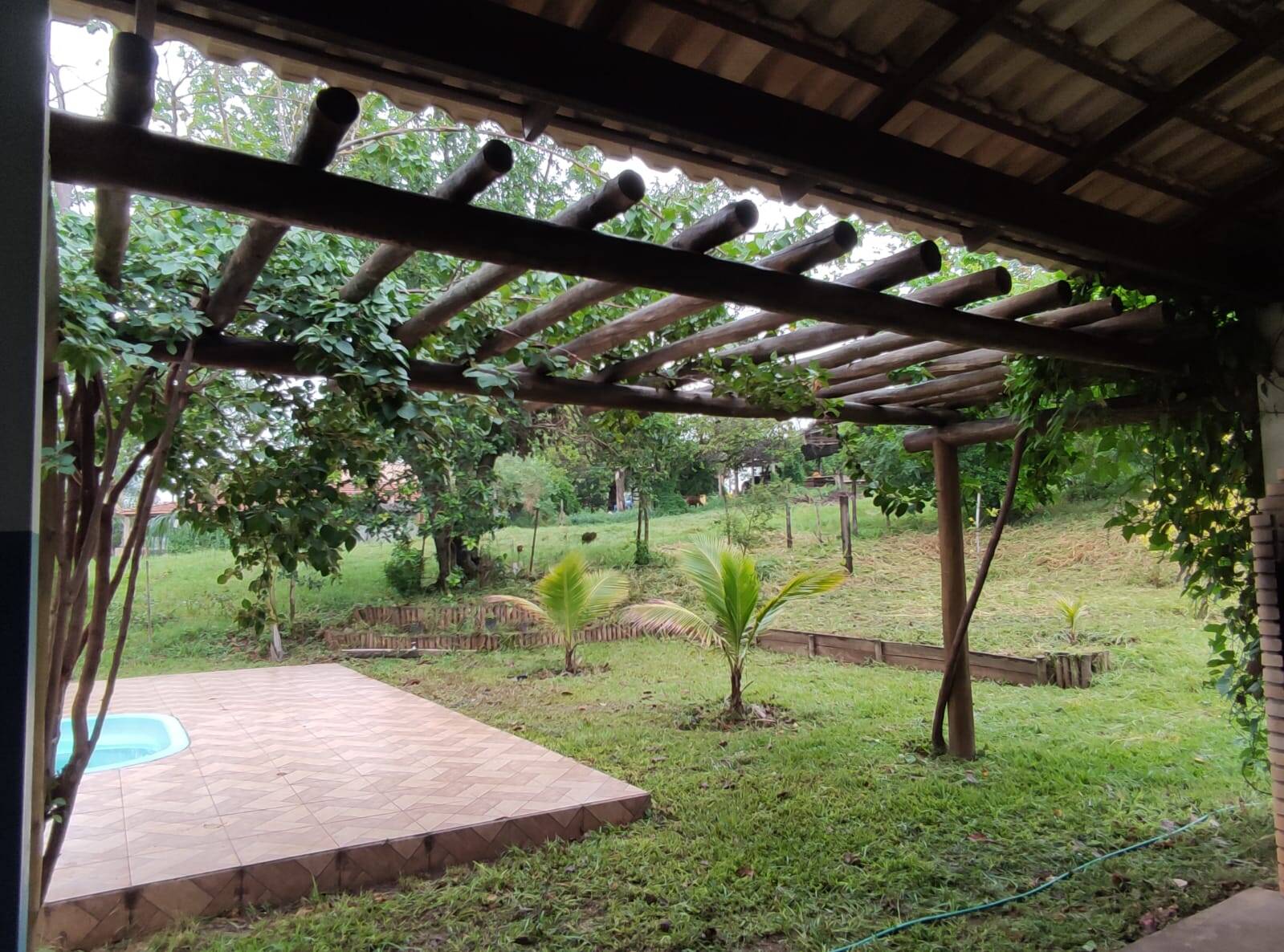 Sítio à venda com 2 quartos, 1200m² - Foto 9