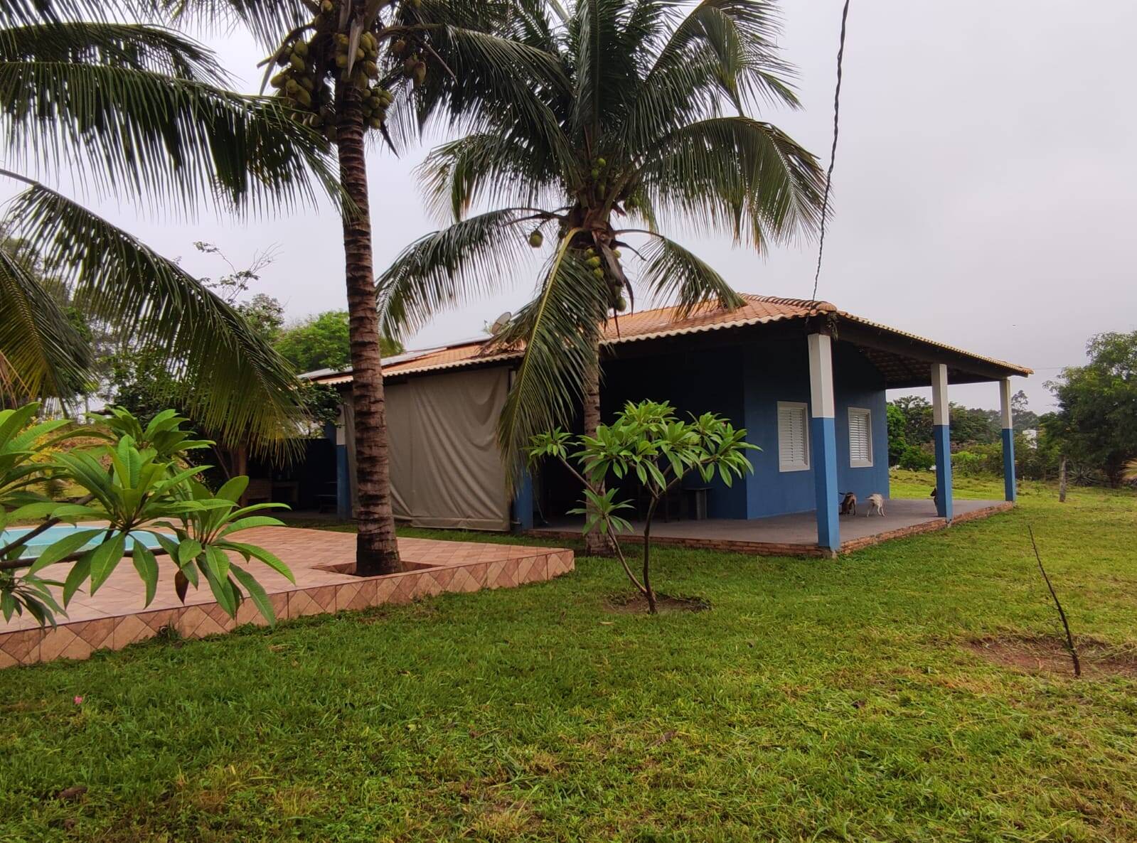 Sítio à venda com 2 quartos, 1200m² - Foto 7