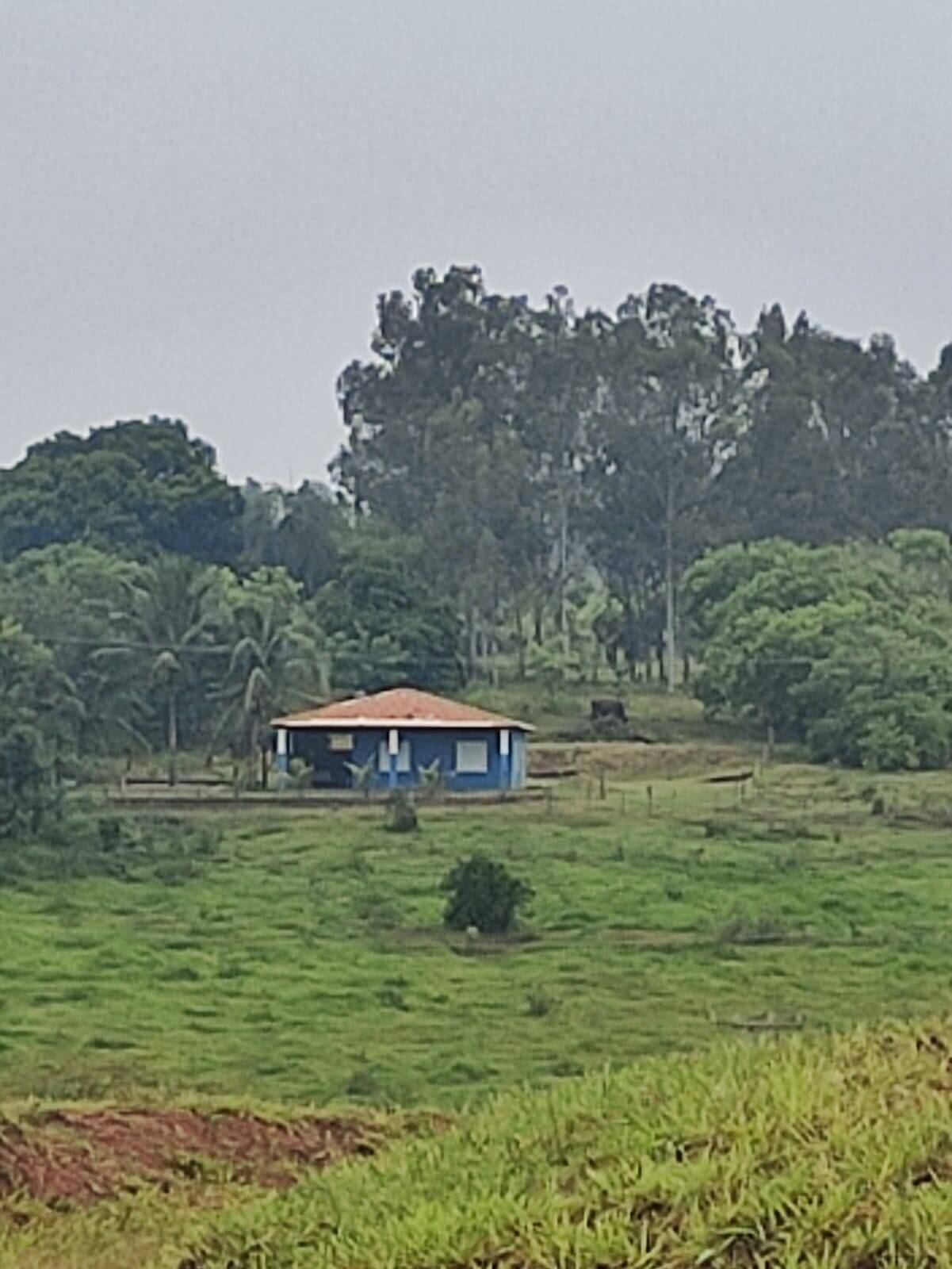 Sítio à venda com 2 quartos, 1200m² - Foto 13
