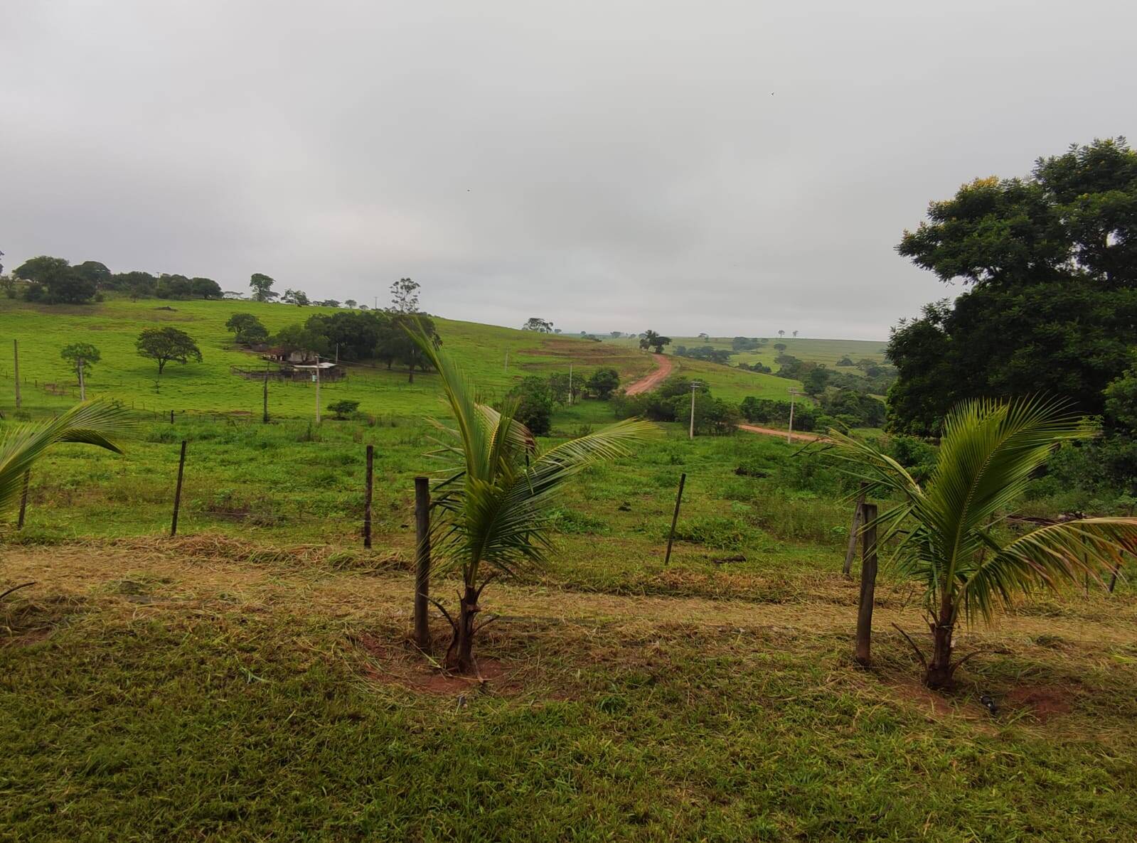 Sítio à venda com 2 quartos, 1200m² - Foto 14