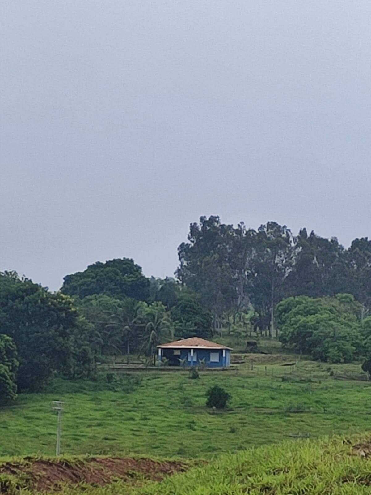 Sítio à venda com 2 quartos, 1200m² - Foto 19