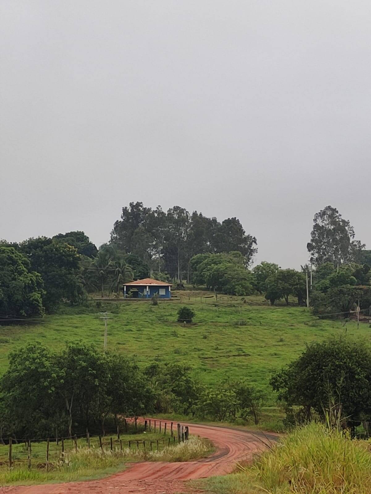 Sítio à venda com 2 quartos, 1200m² - Foto 20