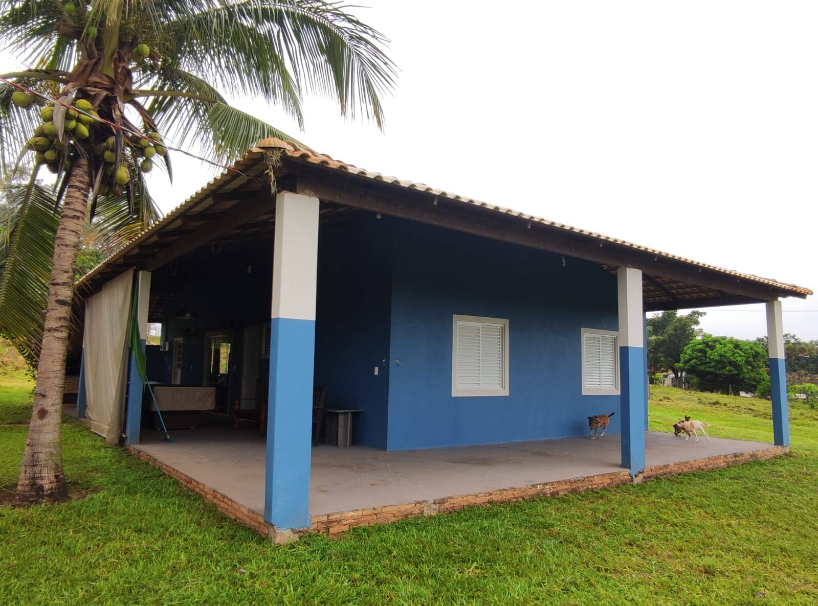 Sítio à venda com 2 quartos, 1200m² - Foto 8