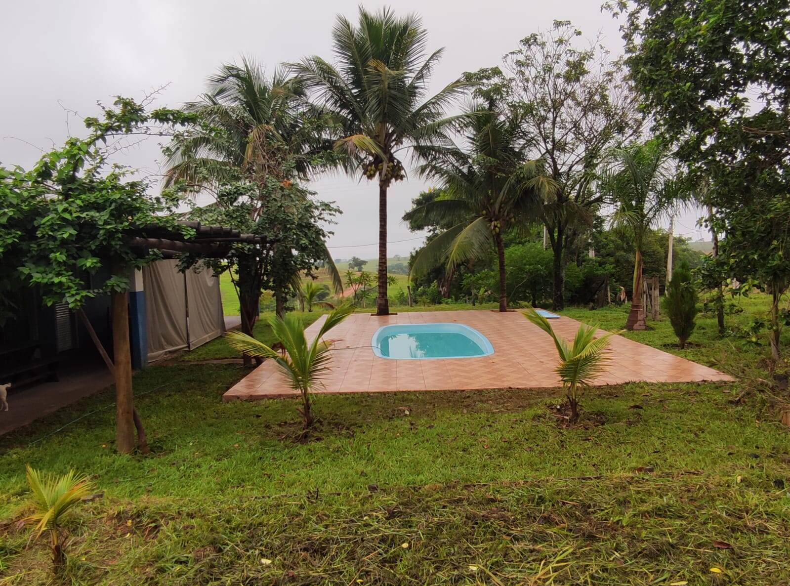 Sítio à venda com 2 quartos, 1200m² - Foto 24