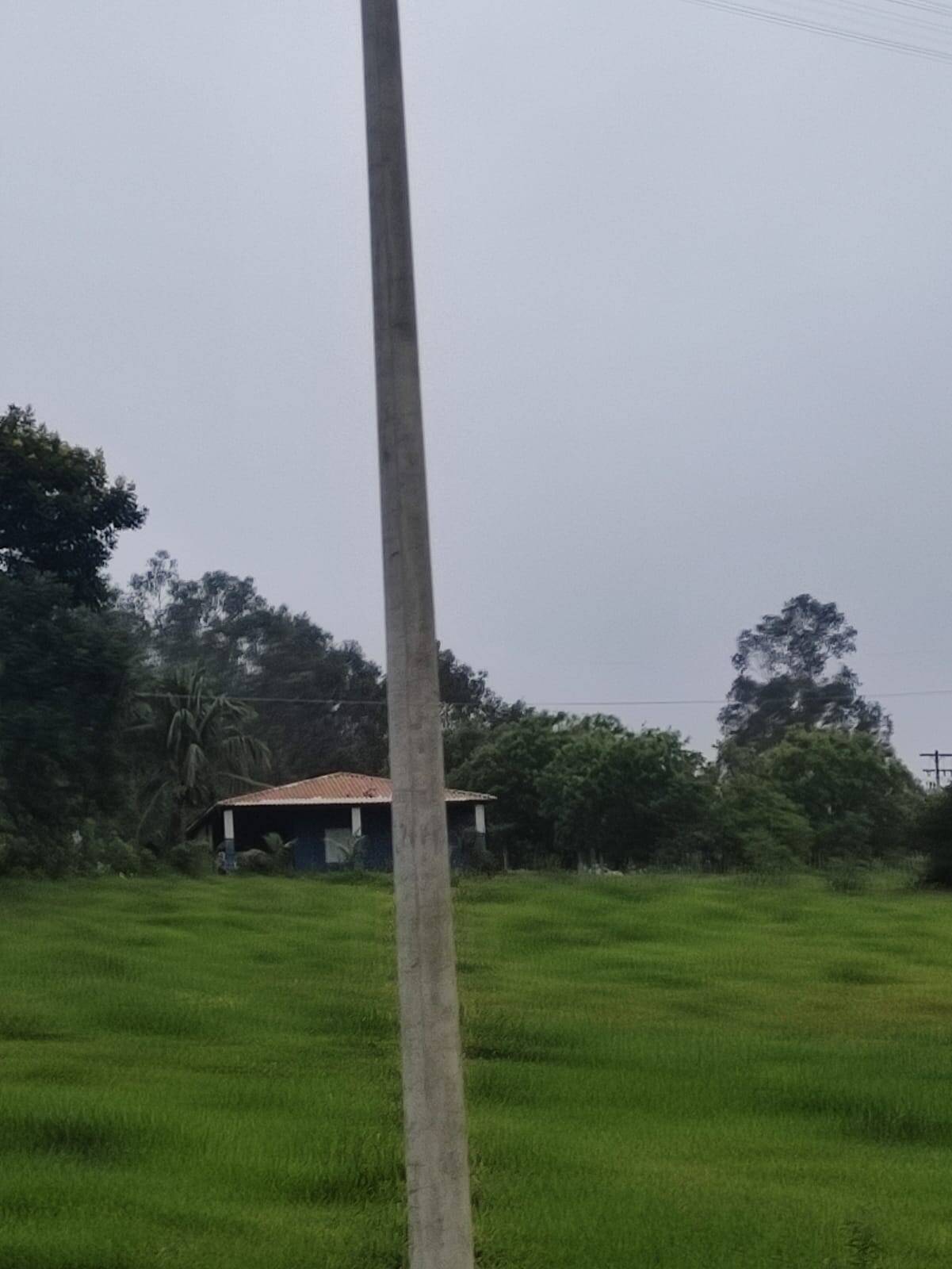 Sítio à venda com 2 quartos, 1200m² - Foto 22