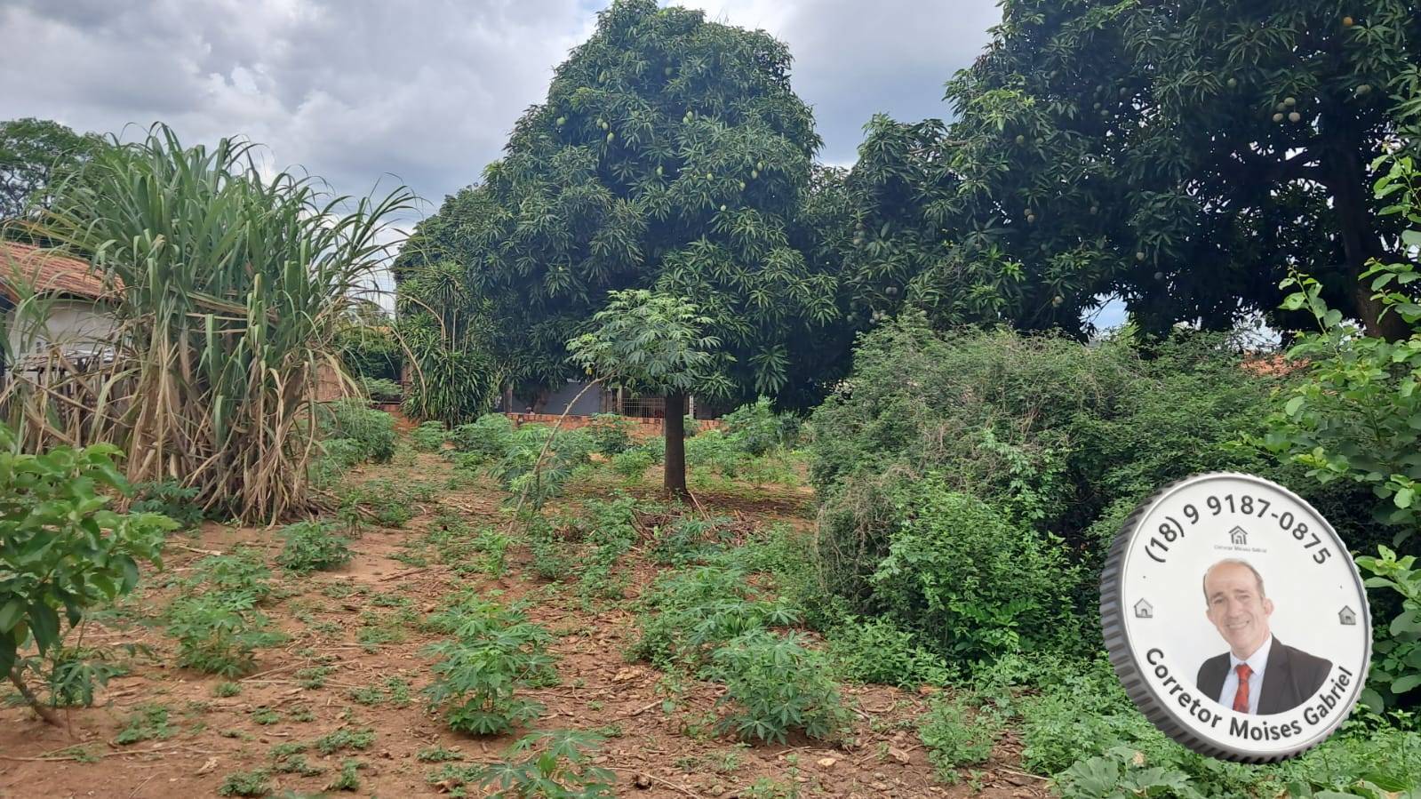 Terreno, 571 m² - Foto 5